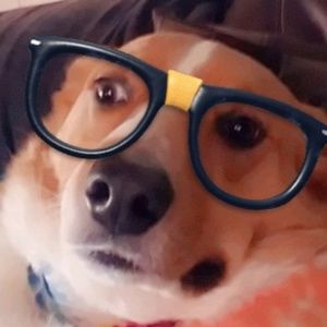 Meet your Posher, Robin